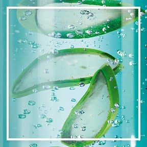 dmi ingredientlp 02 aloevera stills intl mar2023png