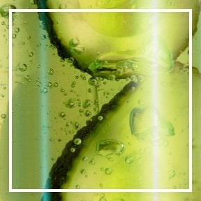 dmi ingredientlp 02 avocado stills intl mar2023png