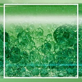 dmi ingredientlp 02 omega6 stills intl mar2023png