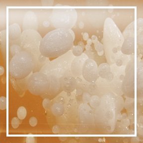 dmi ingredientlp 02 caramides stills intl mar2023png