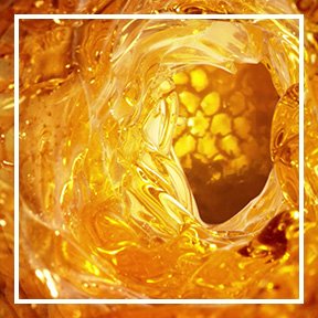 dmi ingredientlp 02 honey stills intl mar2023png