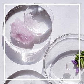 dmi ingredientlp 02 allantoin stills intl jul2023png