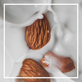 dmi ingredientlp 02 almond stills intl jul2023png