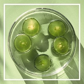 dmi ingredientlp 02 amla stills intl jul2023png