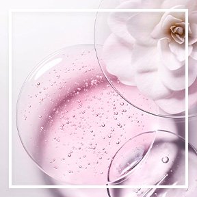 dmi ingredientlp 02 camellia stills intl jul2023png