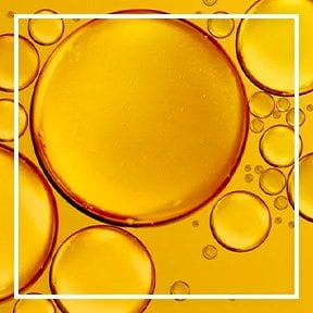 dmi ingredientlp 02 castor oil stills intl jul2023png