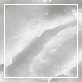 dmi ingredientlp 02 coconut stills intl jul2023png