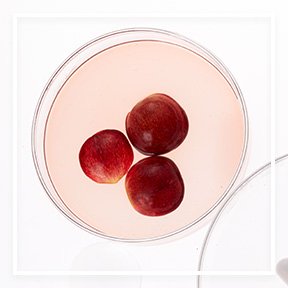 dmi ingredientlp 02 cranberry stills intl jul2023png