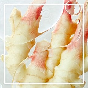 dmi ingredientlp 02 ginger stills intl jul2023png