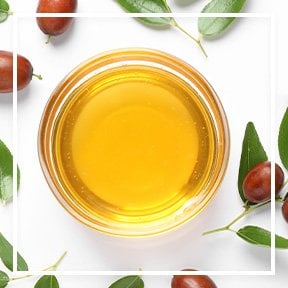 dmi ingredientlp 02 jojoba stills intl jul2023png