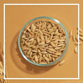 dmi ingredientlp 02 oats stills intl jul2023png