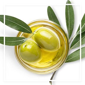 dmi ingredientlp 02 olive tree stills intl jul2023png