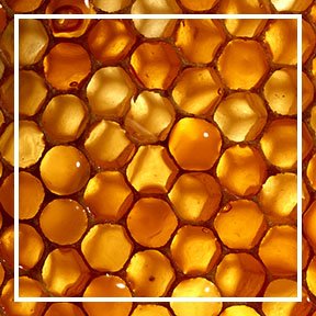 dmi ingredientlp 02 royal jelly stills intl jul2023png
