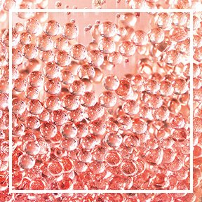 dmi ingredientslp 02 probiotics stills intl mar2023png