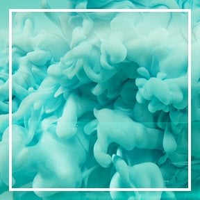 dmi ingredientlp 02 magnesium stills intl mar2023png